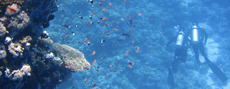 Two Divers on Sea Ground