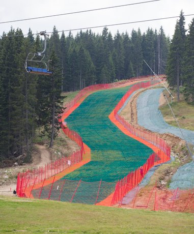 Skier on a dry slope